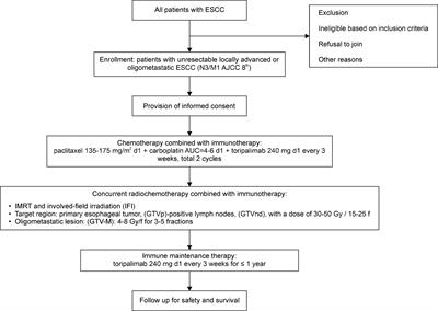 Toripalimab in Combination With Induction Chemotherapy and Subsequent Chemoradiation as First-Line Treatment in Patients With Advanced/Metastatic Esophageal Carcinoma: Protocol for a Single-Arm, Prospective, Open-Label, Phase II Clinical Trial (TR-EAT)